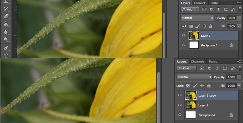 Duplicating Photoshop Layer