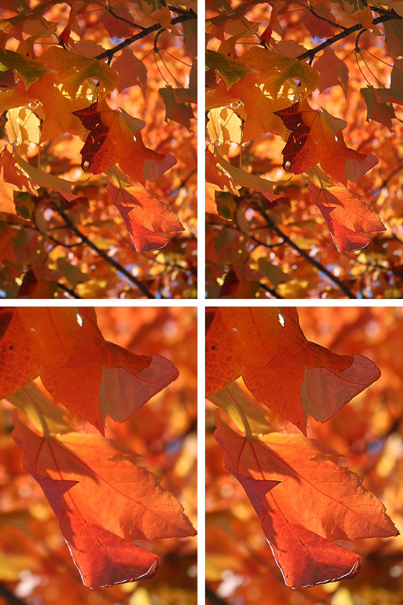 Photoshop High Pass and Overlay Effect