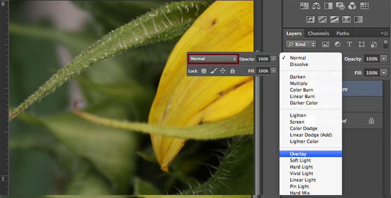 Photoshop Layer Overlay